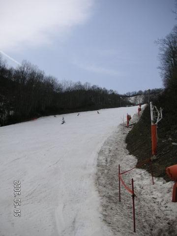 s_pict0098.jpg